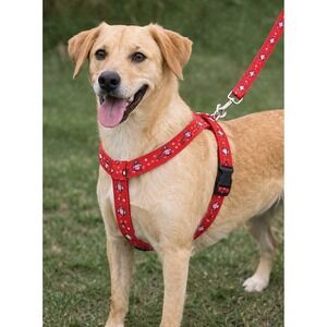 Red Owl Dog Harness Leash Set Adjustable For Medium Dogs NEW